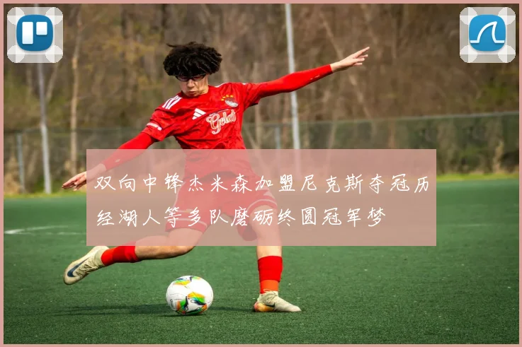 双向中锋杰米森加盟尼克斯夺冠历经湖人等多队磨砺终圆冠军梦