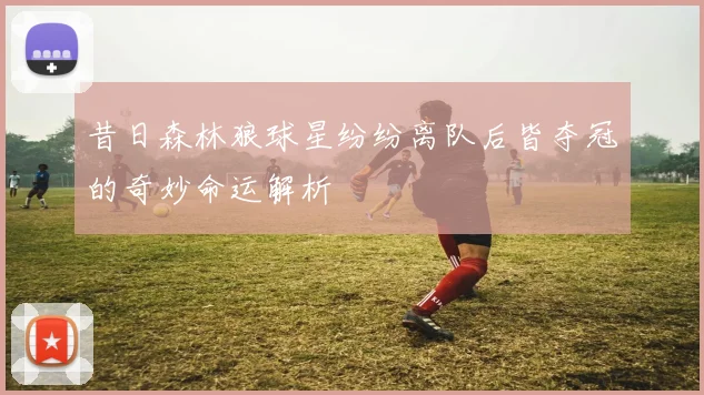 昔日森林狼球星纷纷离队后皆夺冠的奇妙命运解析