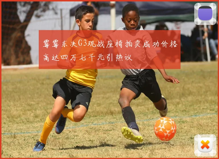 霉霉东决G3观战座椅拍卖成功价格高达四万七千元引热议